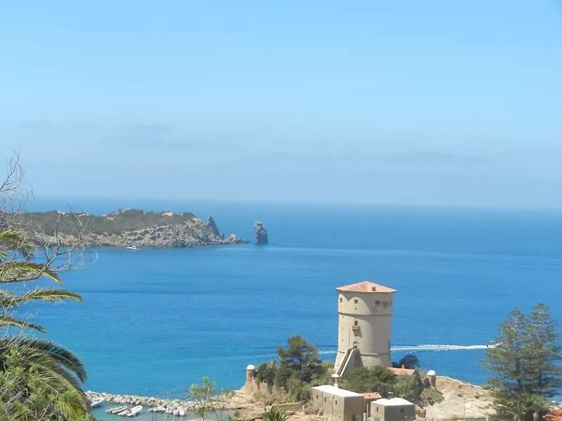 Giglio Verde 1 Campese  Italy