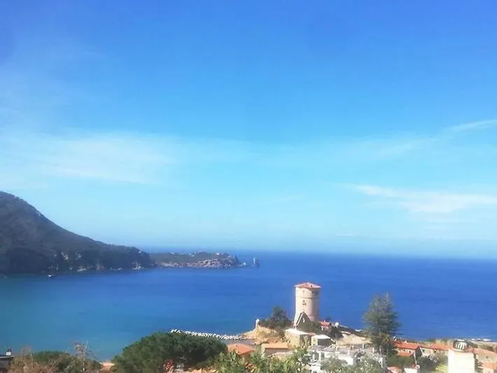 Giglio Verde 1 Campese  Italy